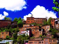 Bitlis’i, Bitlis Evleri Kurtarabilir