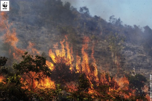 Forest fire in Ponerihouen on the east coast, major ecological threat in New Caledonia.
