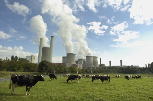 Niederaussem power plant , coal-fired (lignite), run by RWE.    Near Cologne in North-Rhine Westphalia, Germany .    Medow with cows, cooling towers, smoke stacks.According to a WWF study, this power plant is number ten of the worst climate polluters in Europe.