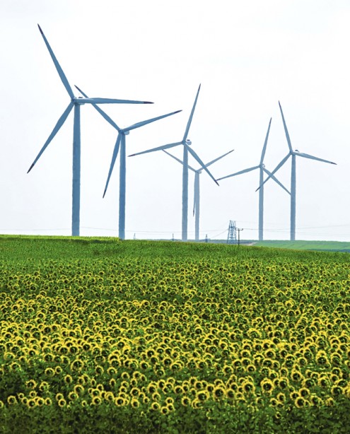 Wind Turbines on sunflower field