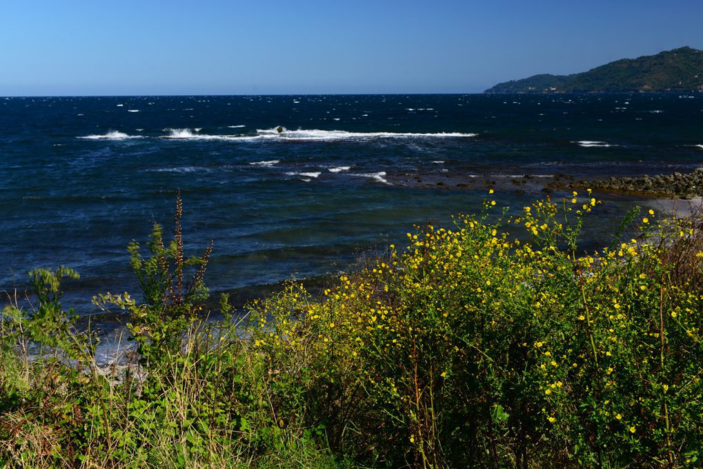 karadeniz